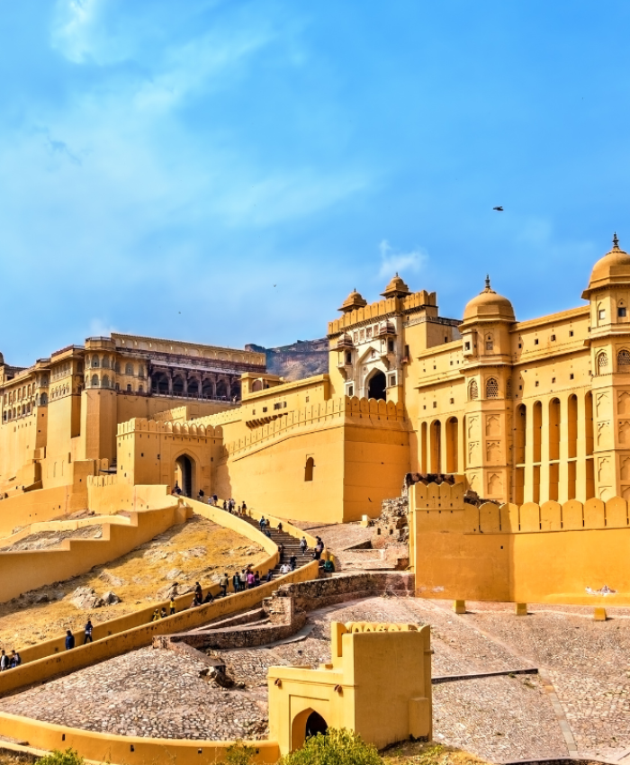 Car Rentals In Chandigarh